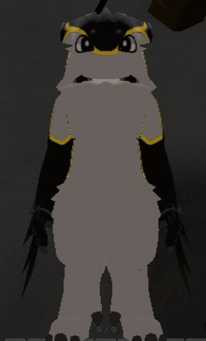 Patterns Classic Front.png