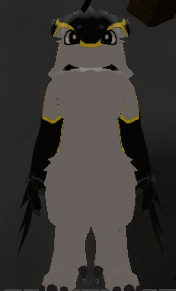 File:Patterns Classic Front.png